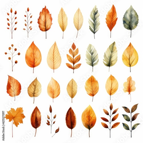 watercolor autumn leaves 