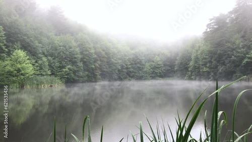 natural lake in the forest and foggy weather