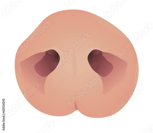 Pig nose mask. vector illustration