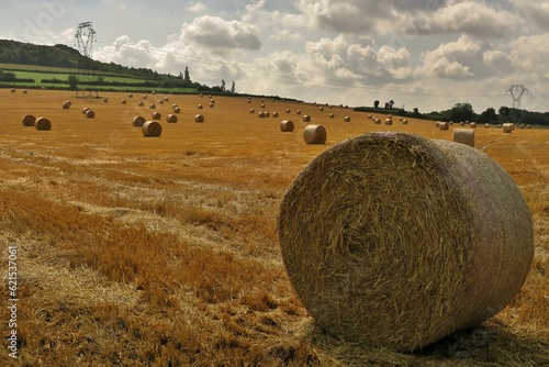 Paysage de campagne après les moissons. photo