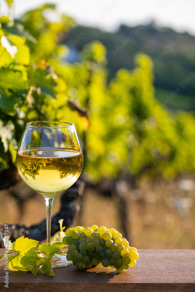 Verre de vin blanc et grappe de raisin dans un vignoble en France.