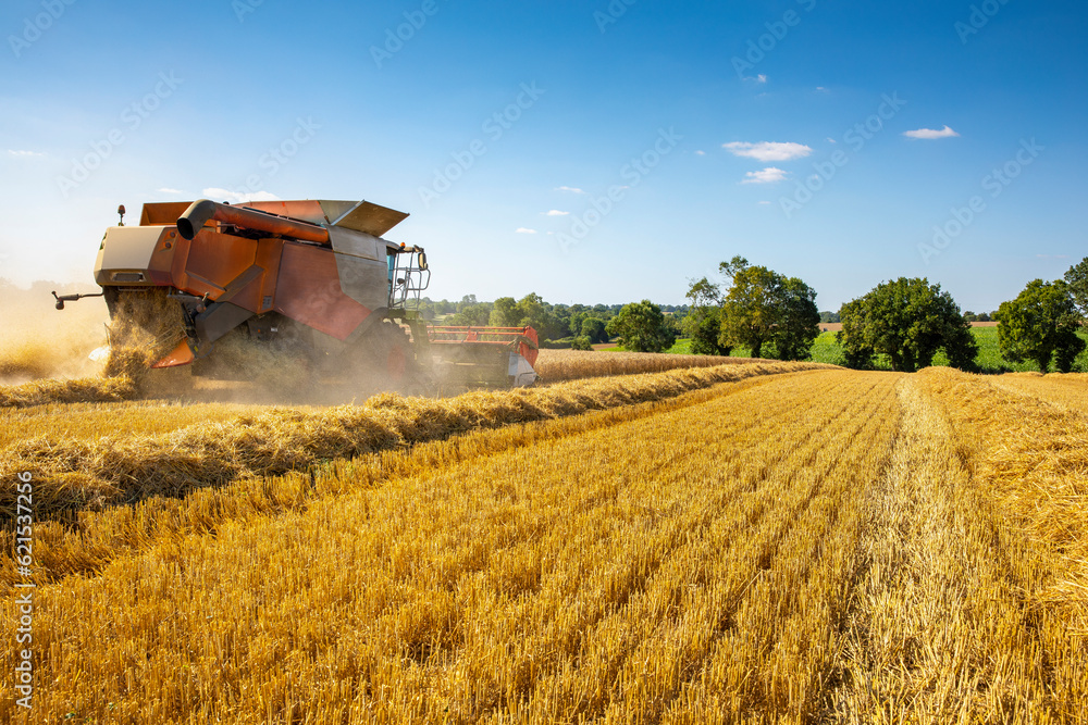 Moisson du blé dans un paysage de campagne en France.