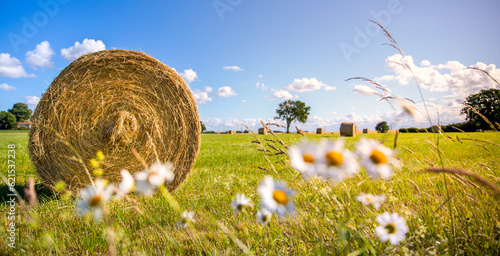 Paysage de campagne, meule de paille dans les champs au milieu des fleurs de printemps. photo