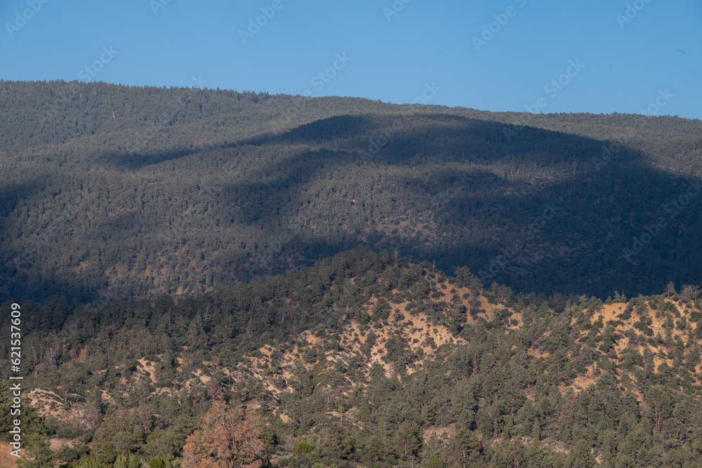 Los Padres National Forest, Lockwood Valley, Ventura County