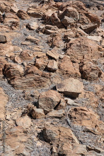 Rocky volcanic soil found at high altitude in Teide National Park, covered in dry pine needles of the tall Pinus Canariensis, resilient trees inhabiting the heights of Tenerife, Canary Islands, Spain