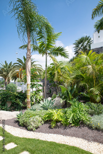 Tropical garden corner featuring palm trees and lots of luxuriant plants, with a neat stone path crossing through the well-kept grass, creating a stunning and tranquil lush environment near a property