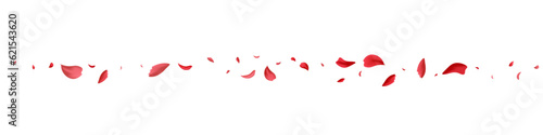 Delicate Cherry Summer Vector White Panoramic