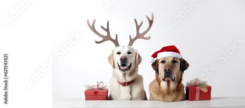 Dogs celebrating christmas holidays wearing red santa claus hat, reindeer antlers and red gift ribbon isolated on white background. AI generated. © ALA