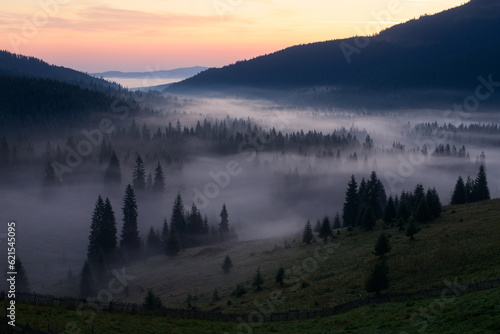 Foggy morning in Romania © Anton Rostovsky