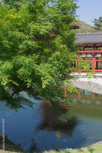 Japanese garden and water mirror, Uji city, Kyoto.