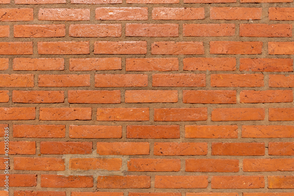 Obraz premium texture pattern of bricks wall in Brazil