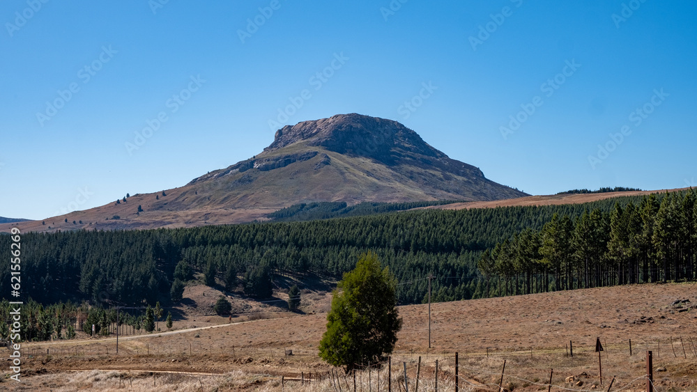 Naklejka premium Hogsback Mountain Forest, Alice Eastern Cape