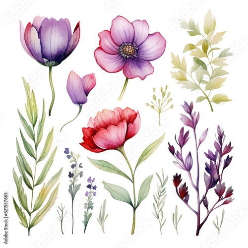 Wild flowers water color illustration collection. herbs  herbaceous flowering plants  blooming flowers  subshrubs isolated on white background. Hand drawn detailed botanical  ai generative.
