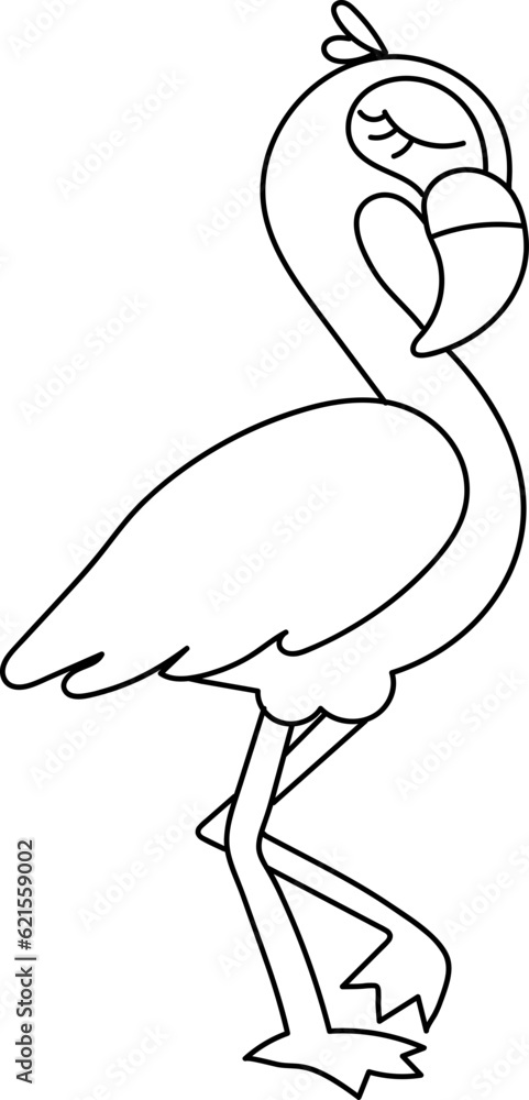 flamingo flamingo