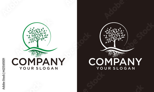 Circle Tree vector logo this beautiful tree is a symbol of life, beauty, growth, strength, and good health.