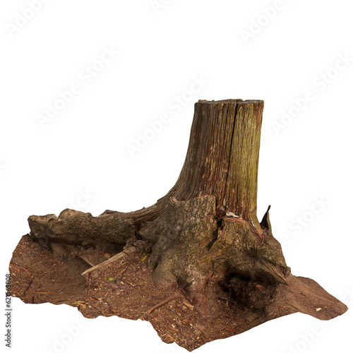 3d illustration of dry tree stump isolated on transparent background