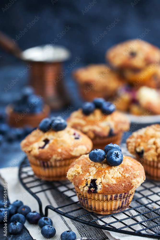 Homemade delicious blueberry and streusel muffins, decorated with fresh berries