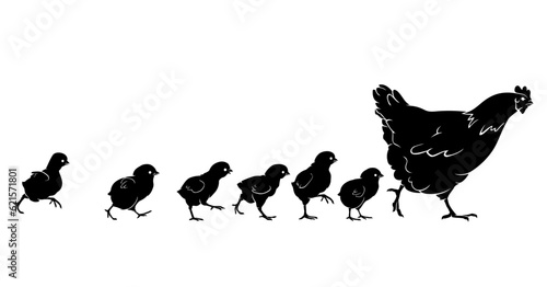 Fotografie, Tablou Hen and Chicks Walking Silhouettes