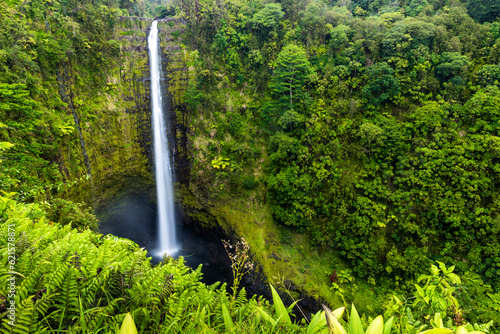 Akaka falls surounded by jungle