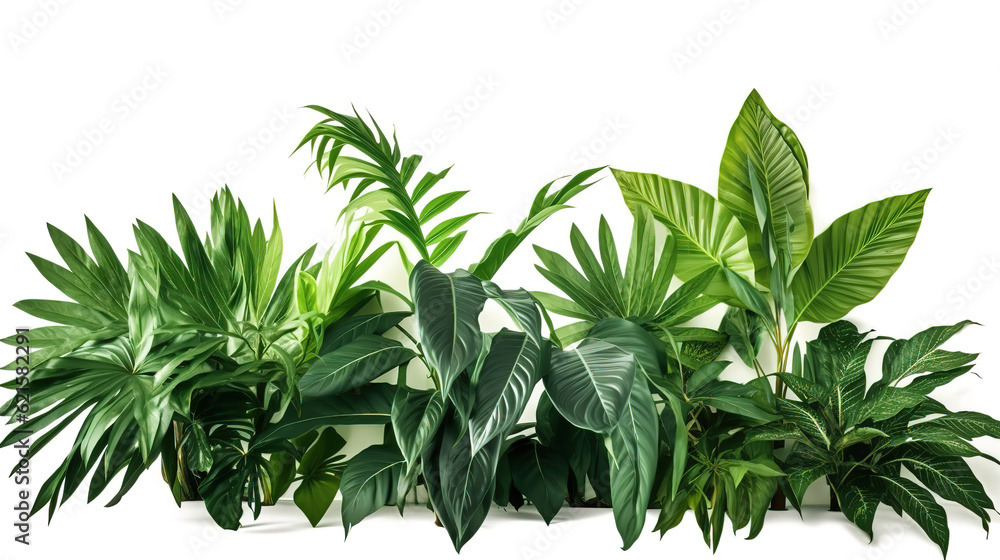 monster Leaves used in modern designs tropical leaves . Generative Ai