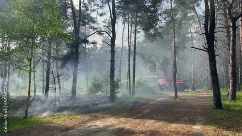 Fire firefighters forest atastrophe fireman truck smoke photo