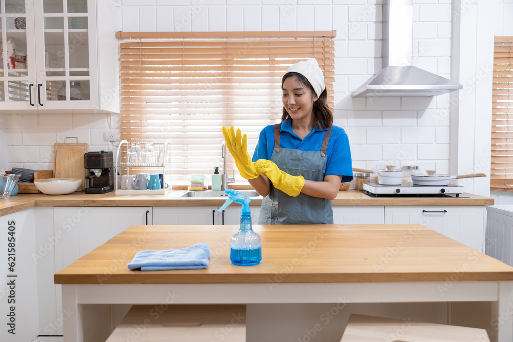 Close-up of the Portrait young professional housewives cleaning the house Close-up of the Portrait young professional housewives cleaning the house