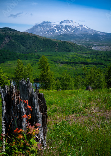 mt st helens 