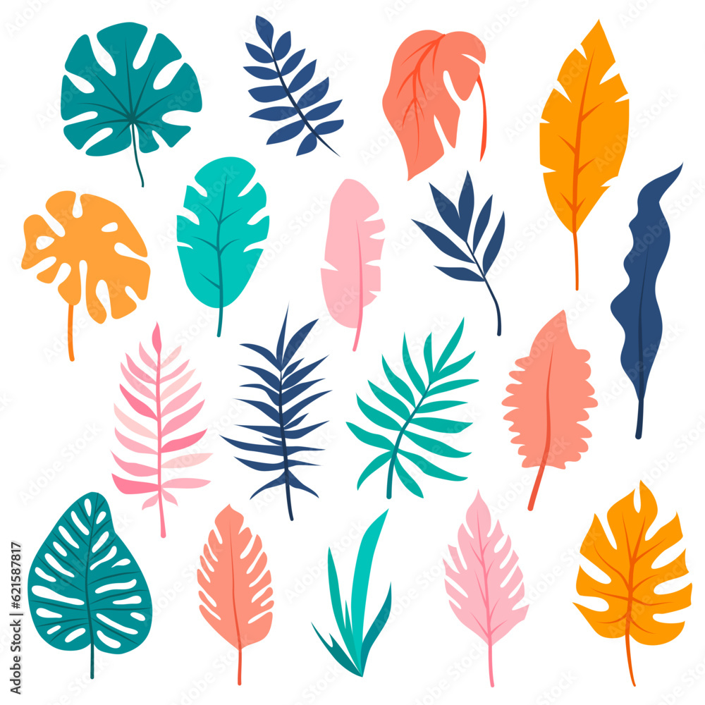 Fototapeta premium Set of hand drawn tropical leaves. Floral foliage, palm tree branch, jungle leaves