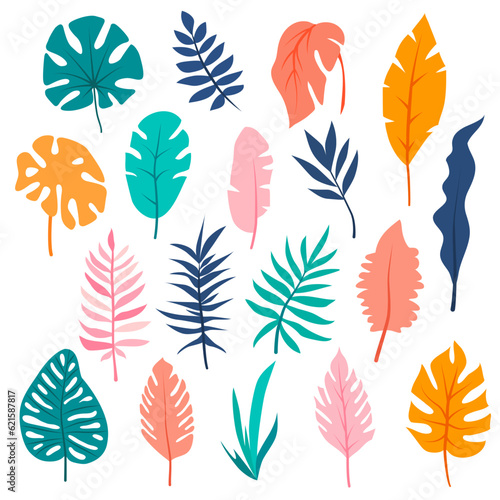 Set of hand drawn tropical leaves. Floral foliage, palm tree branch, jungle leaves © barmaleeva