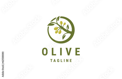 Olive oil logo design template flat vector 