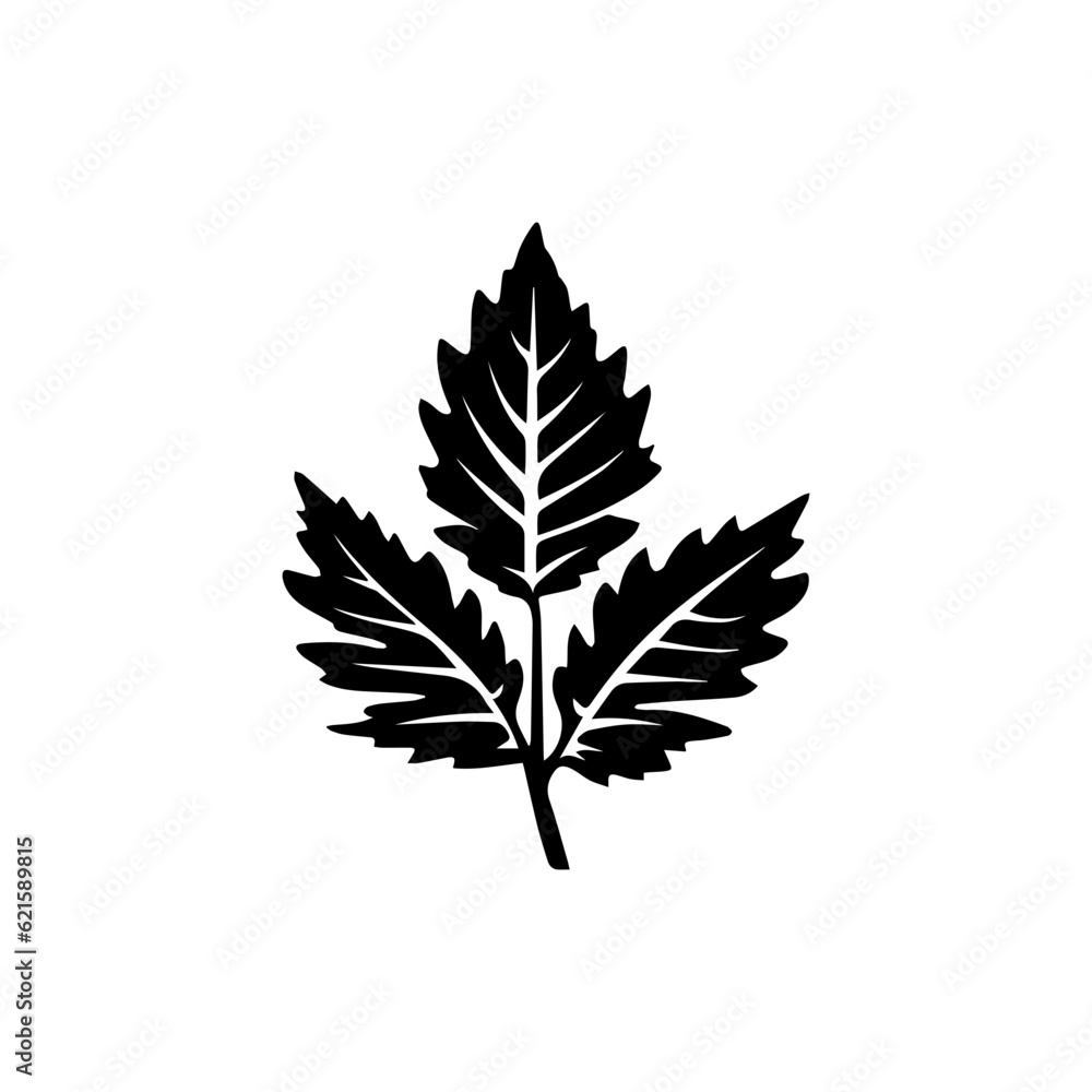leaf silhouette illustration leaf silhouette illustration
