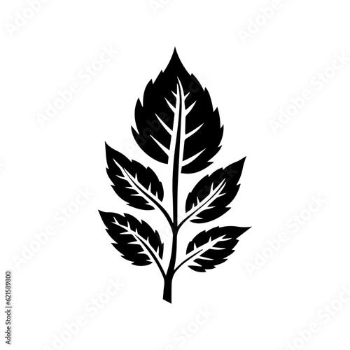 leaf silhouette illustration  © DLC Studio