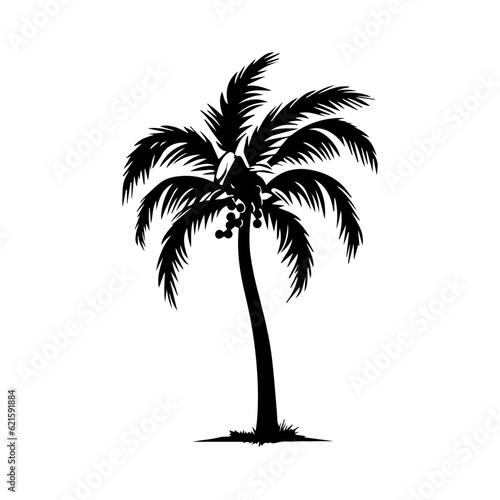 palm tree silhouette illustration 