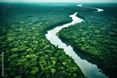 Aerial view of the Amazonas jungle landscape with river bend © eyetronic