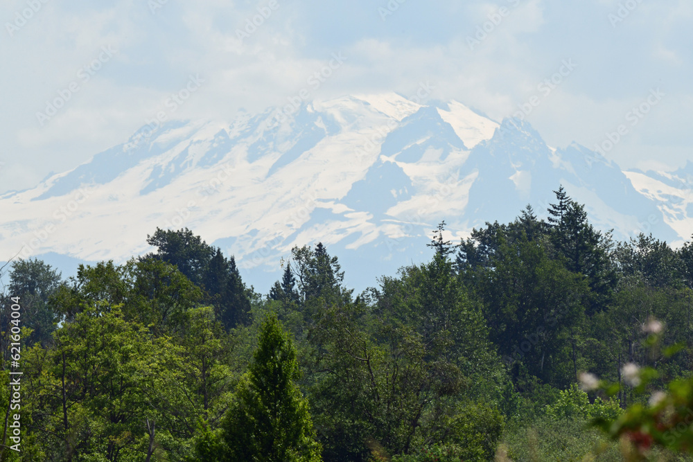 Fototapeta premium Mount Baker Volcano from Lake Terrell, Washington
