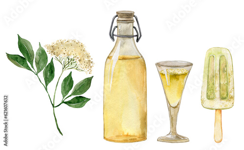 Elderflower alcoholic cocktail, sparkling wine, homemade beverage, healthy drink, hugo spritz, elderflower tea, elderflowers liquor, aperitif. Drink illustration, menu, recipe, cocktail bar, party