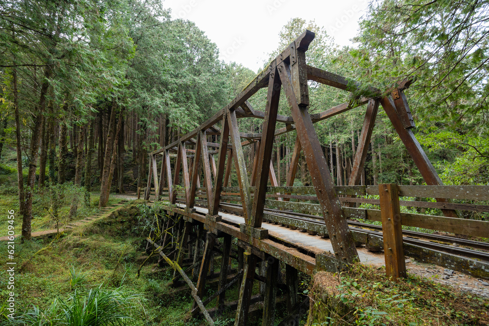 Shuishan Trail at Alishan Forest Recreation Area in Chiayi of Taiwan