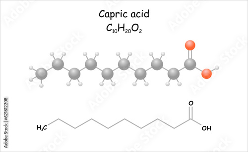 Stylized molecule model/structural formula of capric acid. Use for ester synthesis.