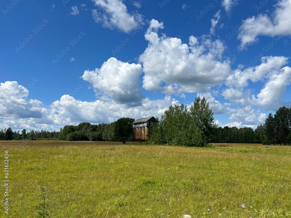 Obraz premium summer landscape, old metal grain dryer, traditional meadow flowers, meadow in summer and wonderful clouds