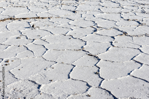 Exploring the huge salt flats Salinas Grandes de Jujuy in northern Argentina while traveling South America - close up of the surface