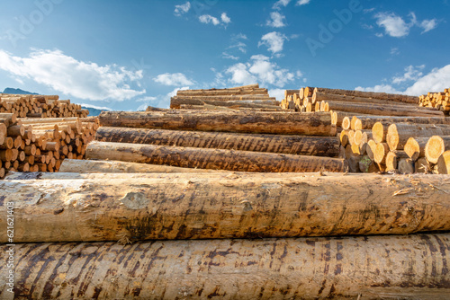 Holzindustrie Lagerplatz geschälte Baumstämme gestapelte Schichtholz frontal im Gegenlicht vor blauem Himmel – Timber Industry Logs 
