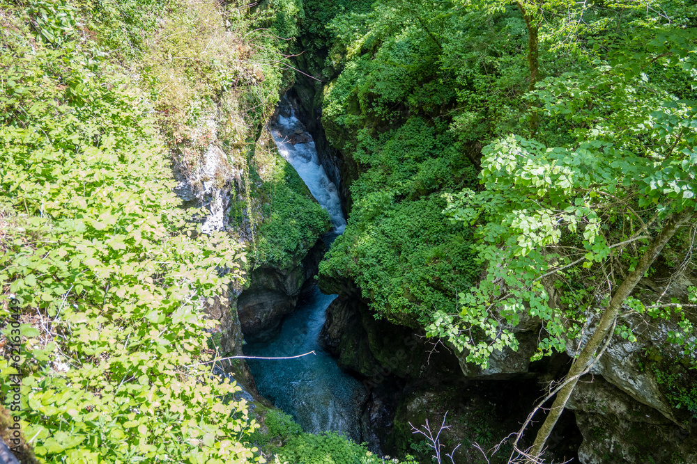 Soca river carving deep cuts in rocks while flowing through the canyon covered in dense vegetation and woods Soca river carving deep cuts in rocks while flowing through the canyon covered in dense vegetation and woods