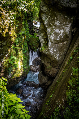 Beautiful, wild environment of Tolmin gorges in Soca river national park deep in the slovenian Alps region with deep, stone canyons covered in dense vegetation