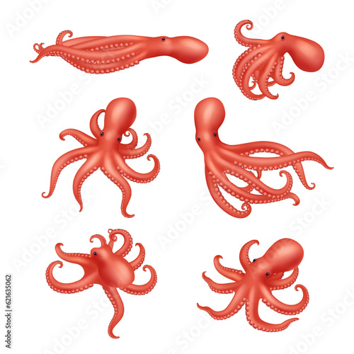 Octopus. Underwater ocean creature decent vector aquatic squid realistic illustration