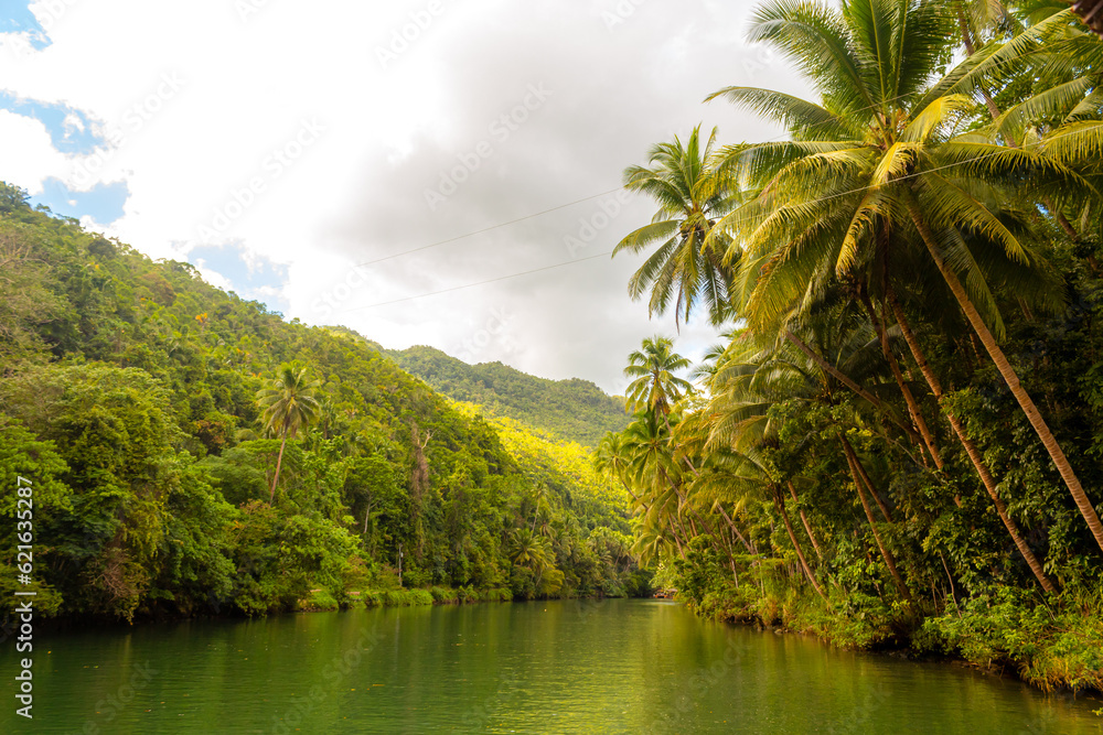 Obraz premium Tropical river with palm trees on both shores, Loboc river, Bohol, Philippines