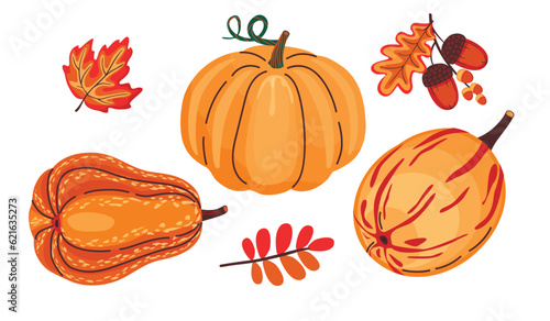 Set of pumpkins and autumn leaves. Fruits of different shapes, acorns, foliage in bright colors. Isolated elements on a white background.Print on fabric and paper. Vector cartoon flat illustration.