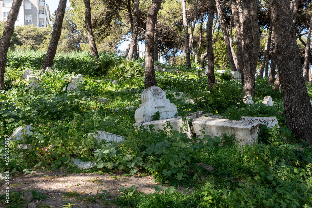 Tombstones in the public Mendoubian gardens in downtown Tangier