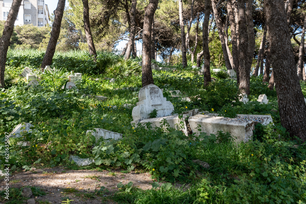 Tombstones in the public Mendoubian gardens in downtown Tangier Tombstones in the public Mendoubian gardens in downtown Tangier