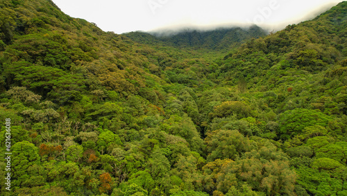 AERIAL: Rainforest at the foothill of Volcan Baru with mists rolling over ridge photo