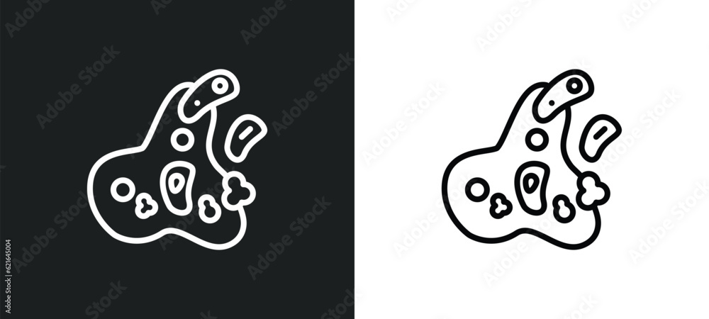 cell division outline icon in white and black colors. cell division flat vector icon from chemistry collection for web, mobile apps and ui.